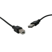 Câble USB-B à USB
