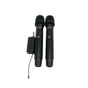 Ensemble de microphone sans fil – Double canal (2 micros)