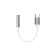 Adaptateur Type-C à AUX 3.5 mm