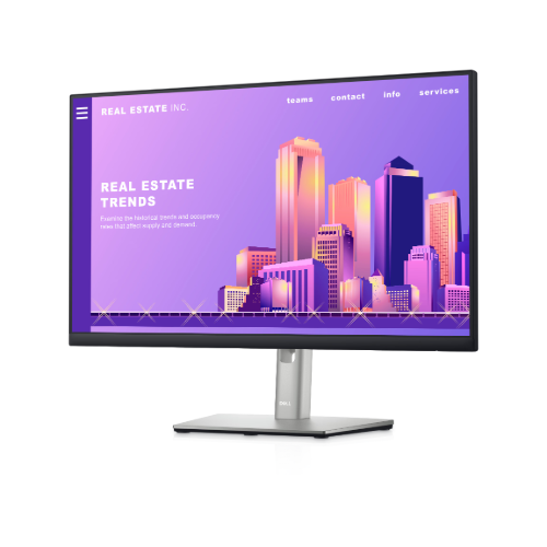 Dell P2422H – Moniteur 24 pouces