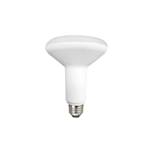 Ensemble de 2 ampoules DEL – BR30 – 8W